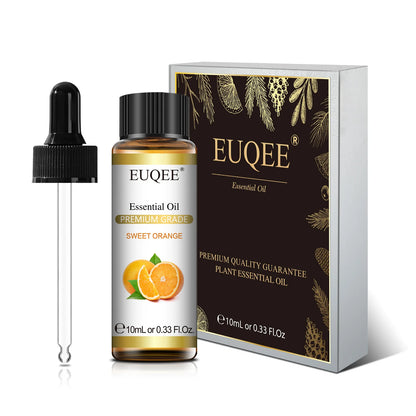 Aromatherapy Essential Oil Set for Diffusers - Bergamot, Eucalyptus, Sandalwood, Cinnamon, and Lavender (10ml/118ml)