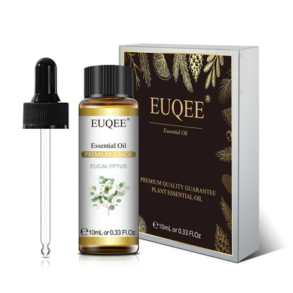 Aromatherapy Essential Oil Set for Diffusers - Bergamot, Eucalyptus, Sandalwood, Cinnamon, and Lavender (10ml/118ml)