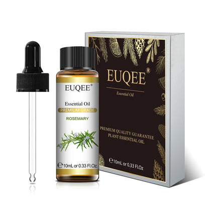 Aromatherapy Essential Oil Set for Diffusers - Bergamot, Eucalyptus, Sandalwood, Cinnamon, and Lavender (10ml/118ml)