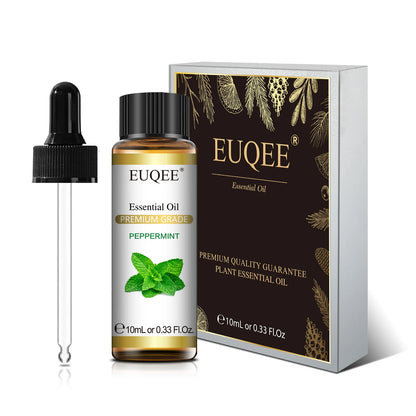 Aromatherapy Essential Oil Set for Diffusers - Bergamot, Eucalyptus, Sandalwood, Cinnamon, and Lavender (10ml/118ml)