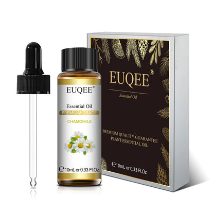 Aromatherapy Essential Oil Set for Diffusers - Bergamot, Eucalyptus, Sandalwood, Cinnamon, and Lavender (10ml/118ml)